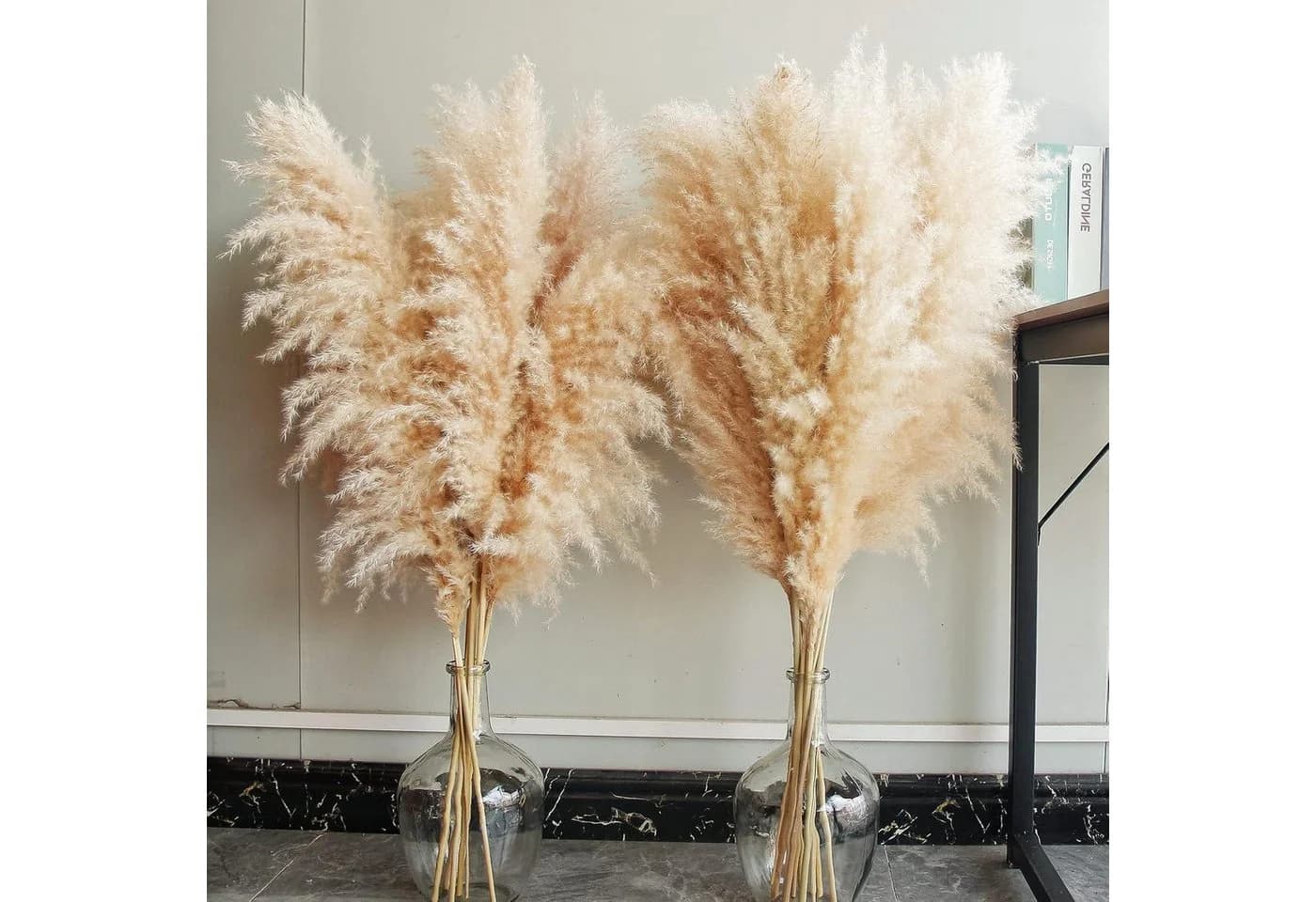 LuxusKollektion Pampasgras XXL 115cm 10 Stück Beige - Bild 5