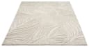 Teppich OTTO HOME Samia, Hoch-Tief-Struktur Creme Bild 3