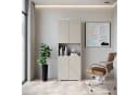 Home affaire Aktenschrank Vera mit LED-Beleuchtung Beige Holzwerkstoff Bild 5