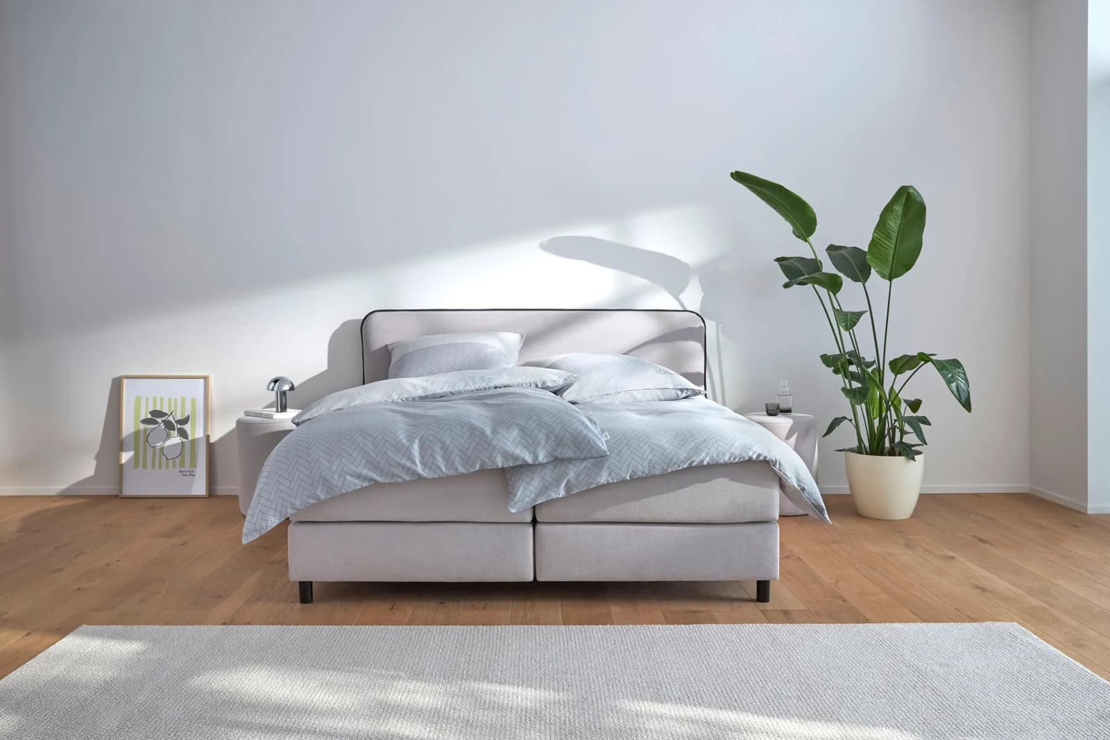 Boxspringbett Kuhmo s.Oliver hellgrau anthrazit