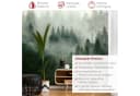 Bilderdepot24 Fototapete Tannenwald Nebel Wald Natur Landschaft grün Bild 3