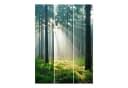 Bilderdepot24 Schiebegardine Enlightened Forest 3er Set Halbdurchlässig Bild 4