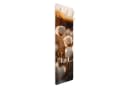 Bilderdepot24 Garderobenpaneel Beige Weiß Mohnblüten Design Bild 5