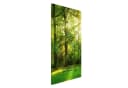 Bilderdepot24 Magnettafel Küche grün Spaziergang im Wald Bild 2