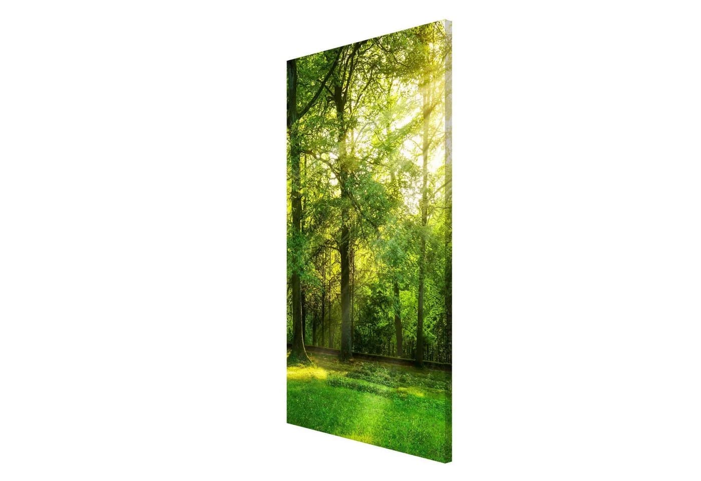 Bilderdepot24 Magnettafel Küche grün Spaziergang im Wald - Bild 3