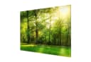 Bilderdepot24 Magnettafel Küche grün Spaziergang im Wald Metall Bild 3