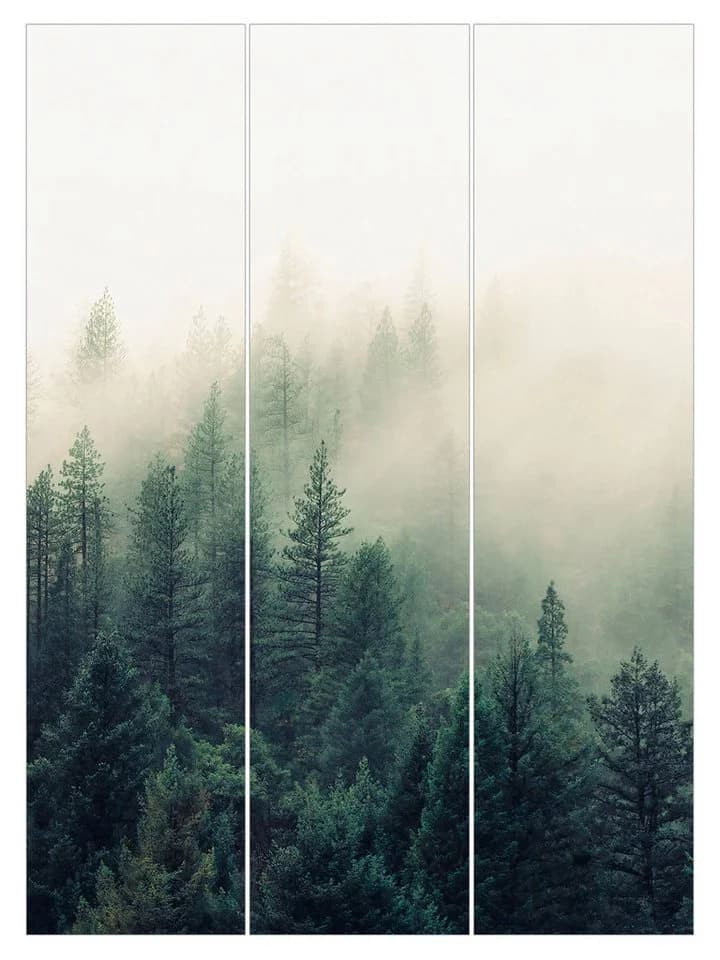 Bilderdepot24 Schiebegardine Modern Flächenvorhang Grün Wald im Nebel - Bild 2