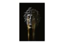 Bilderdepot24 Leinwandbild Akustikbild Abstrakt Modern Medusa Bild 5