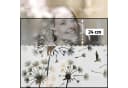 Bilderdepot24 Fensterfolie Statisch Haftend Motiv Pusteblumen Vögel Bordüre Bild 5