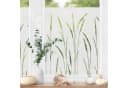 Fensterfolie Motiv Gräser Schilf II Blume Bild 1