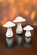 TIZIANO Design Dekofigur Pilz Ponti Creme-Weiß Keramik Bild 2