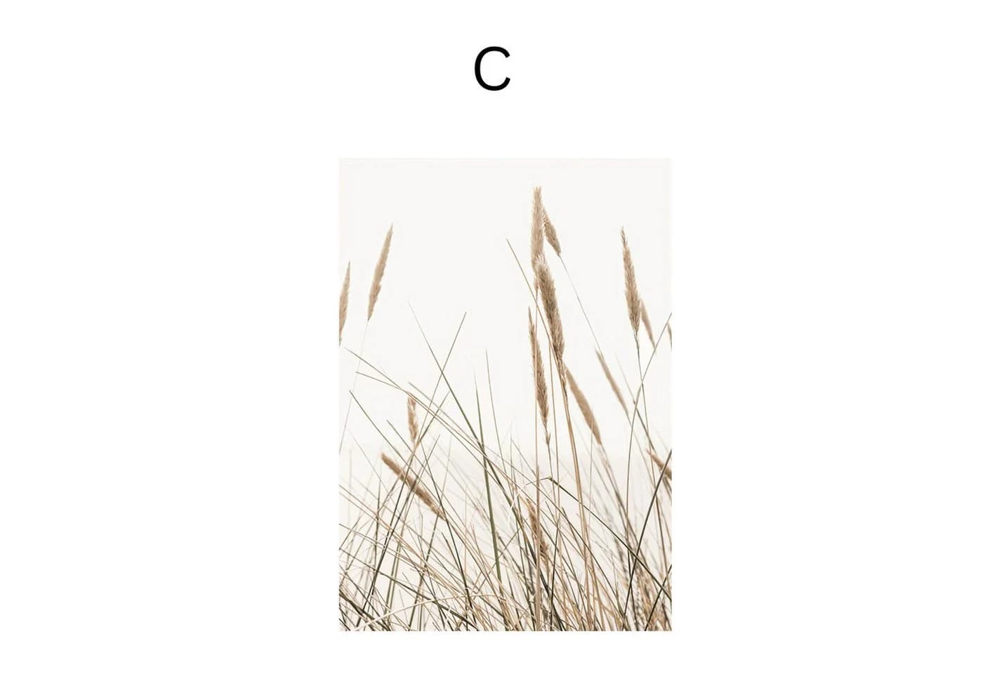 JUSTGOODMOOD Poster Pampas Gras & Trockenblumen Deko Print Baumwolle - Bild 5