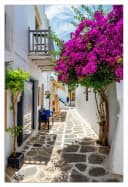 Wallario Poster Griechische Blütengasse Mediterraanes Flair Bild 2