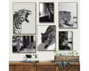 TPFLiving Leinwand Kunstdruck Leopard Schwarz-Weiß Ohne Rahmen Bild 5