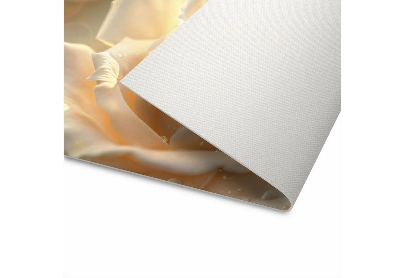 Primedeco Küchenteppich Elegante Rose PVC Läufer rutschfest abwaschbar - Bild 5