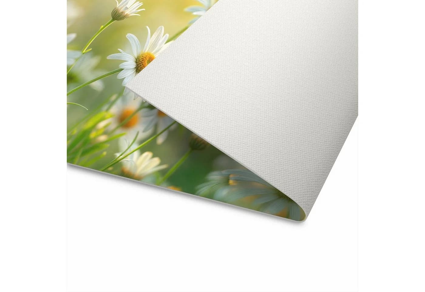 Primedeco Küchenteppich Blühende Gänseblümchen PVC rutschfest abwaschbar - Bild 5