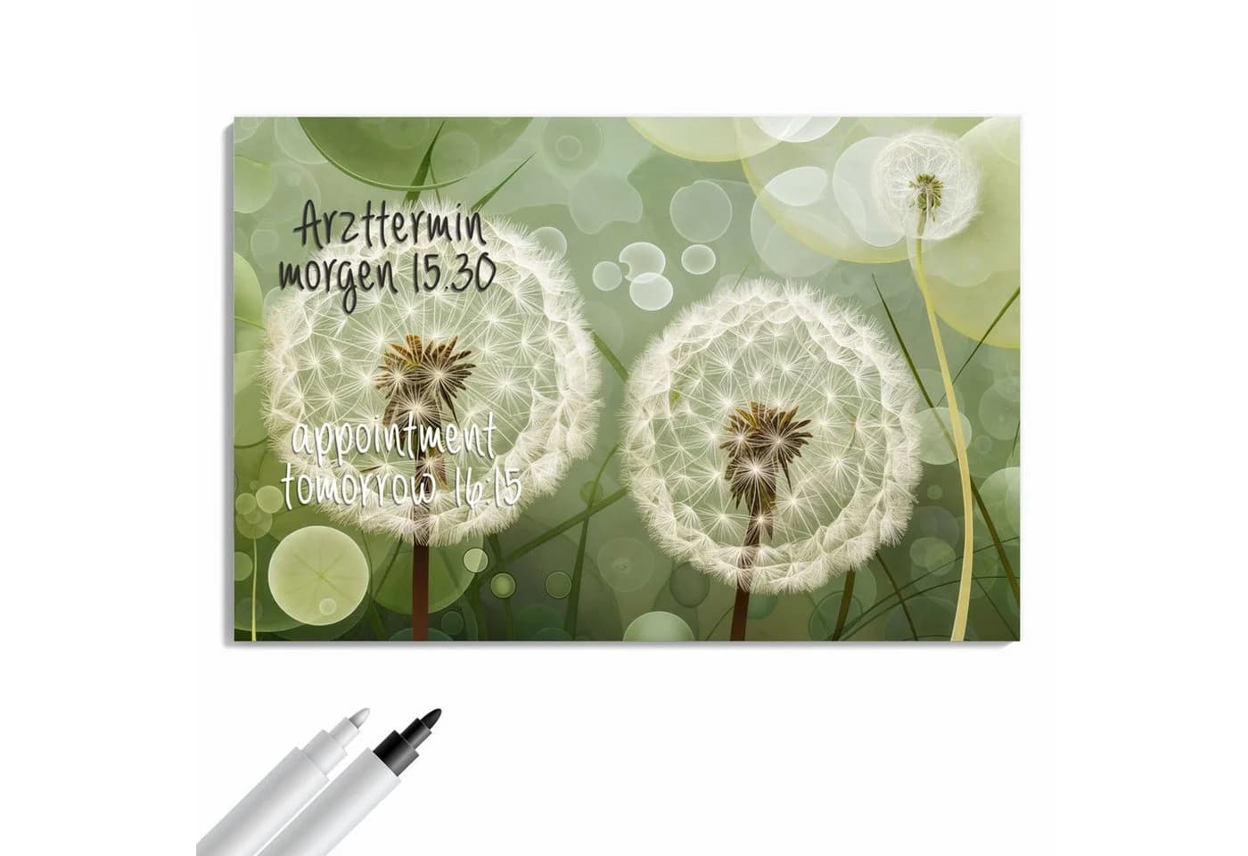 Primedeco Memoboard Metall Magnettafel Löwenzahn Grün