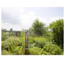 Gardena city gardening Terrassen-Spiralschlauch grau/türkis 7,5 Meter Bild 5