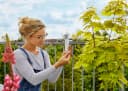 Gardena ClickUp! Balkonhalterung für ClickUp! Aufsätze Befestigung Bild 1