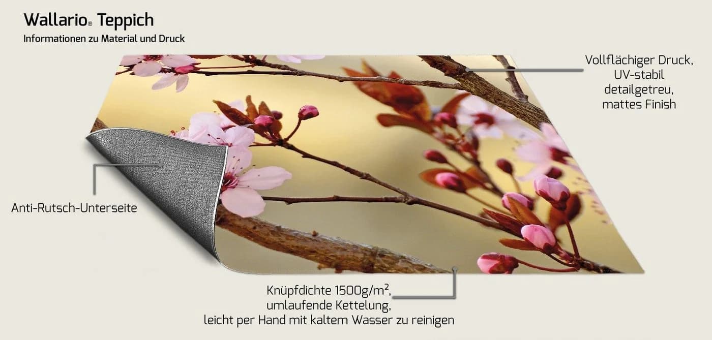 Wallario Teppich Kirschblüten Nahaufnahme Frühlingsgefühle Rutschfest - Bild 3