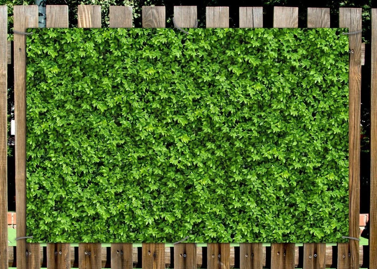 Wallario Sichtschutzzaunmatte Grüne Hecke PVC