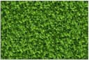 Wallario Sichtschutzzaunmatte Grüne Hecke PVC Bild 2