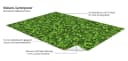 Wallario Sichtschutzzaunmatte Grüne Hecke PVC Bild 4