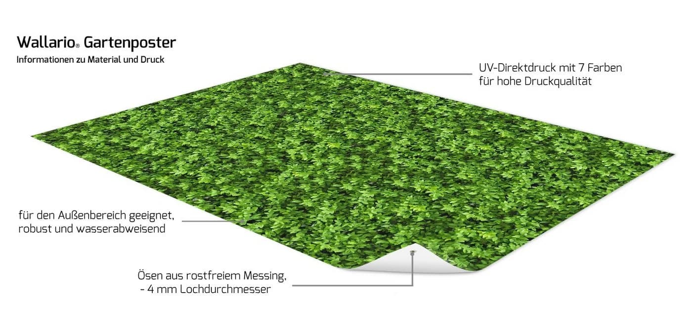 Wallario Sichtschutzzaunmatte Grüne Hecke PVC - Bild 4