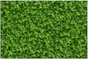 Wallario Sichtschutzzaunmatte Grüne Hecke PVC Bild 5