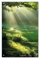 Wallario Fensterbild Sonnenschutz Sonnenstrahlen im Wald Polyester Bild 2