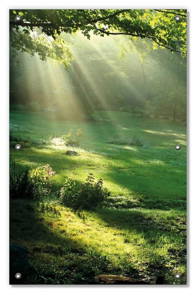 Wallario Fensterbild Sonnenschutz Sonnenstrahlen im Wald Polyester - Bild 2