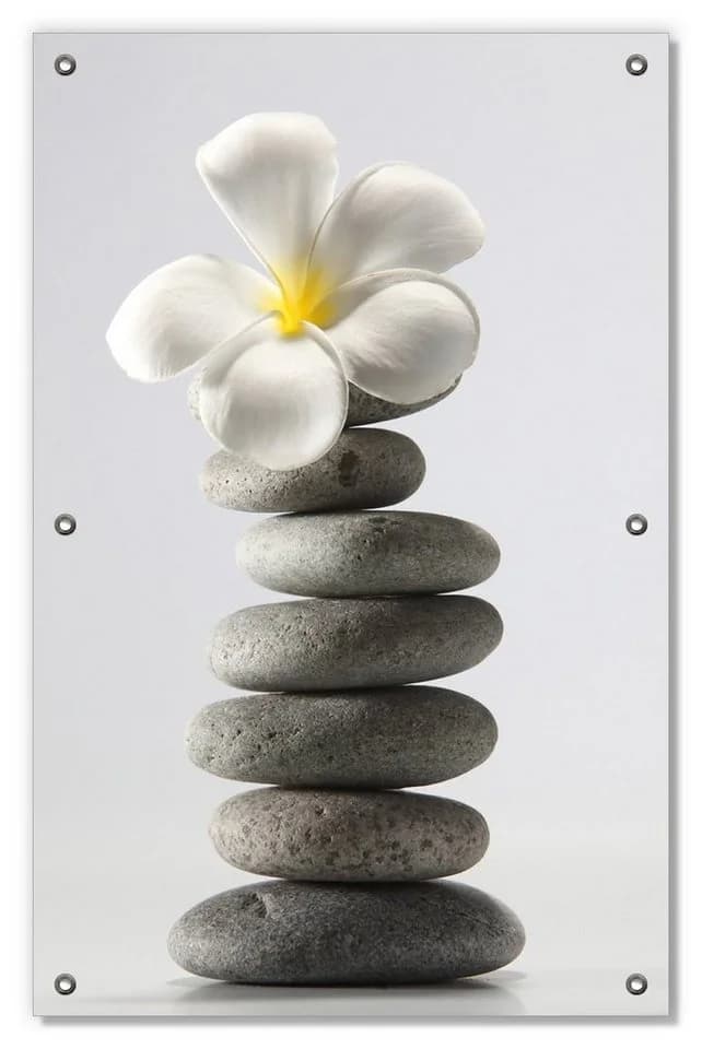 Wallario Sonnenschutz Fensterbild Blume auf Steinen blickdicht mit Saugnäpfen - Bild 2