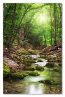 Wallario Sonnenschutz Fluss im Wald Grün Weiß mit Saugnäpfen Bild 2