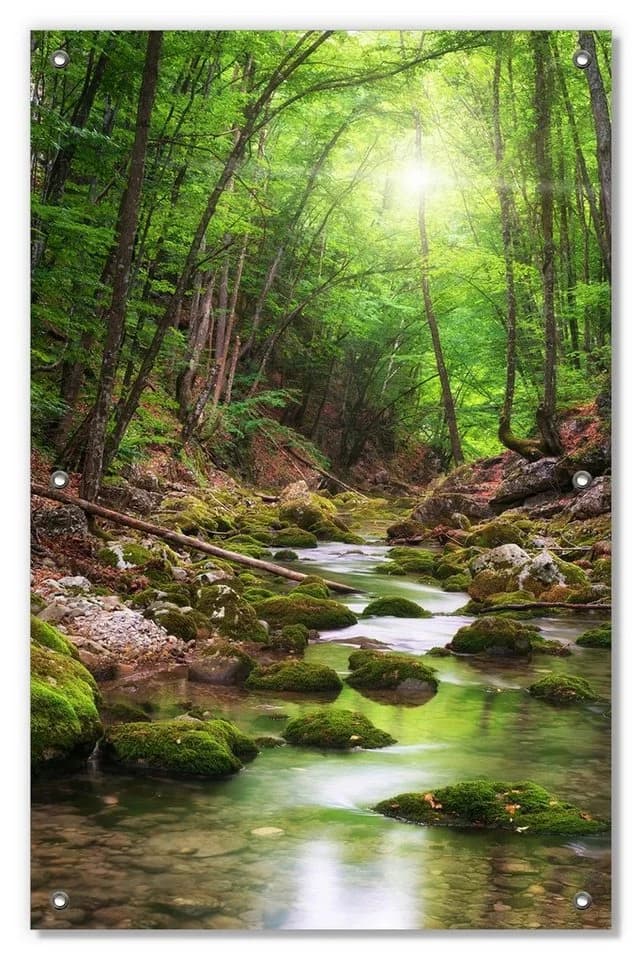 Wallario Sonnenschutz Fluss im Wald Grün Weiß mit Saugnäpfen - Bild 2