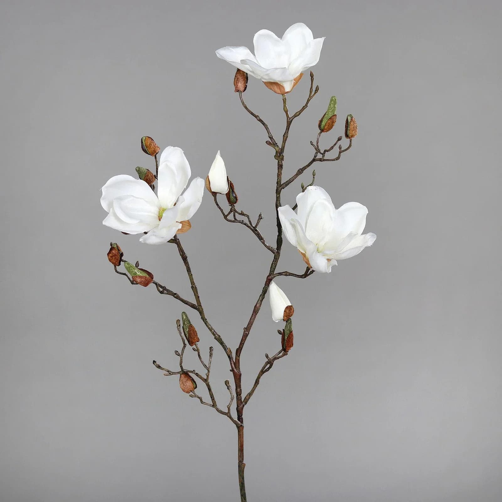 DPI Kunstblume Magnolienzweig Beige