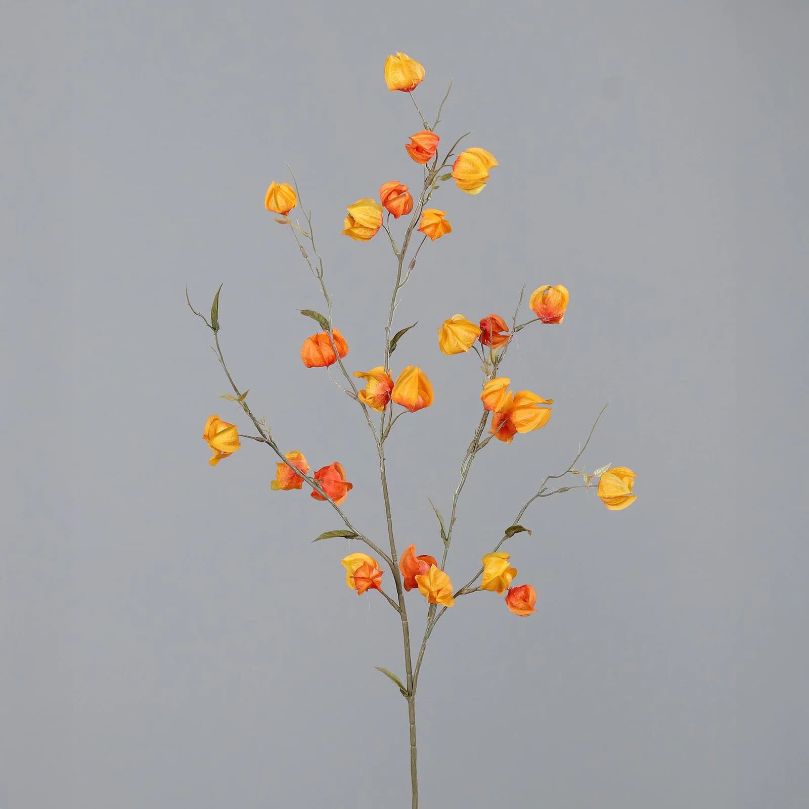 DPI Kunstblume Physalis-Zweig Orange