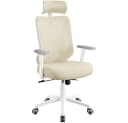 Yaheetech Ergonomischer Chefsessel mit Kopfstütze & Lendenwirbelstütze Bild 2