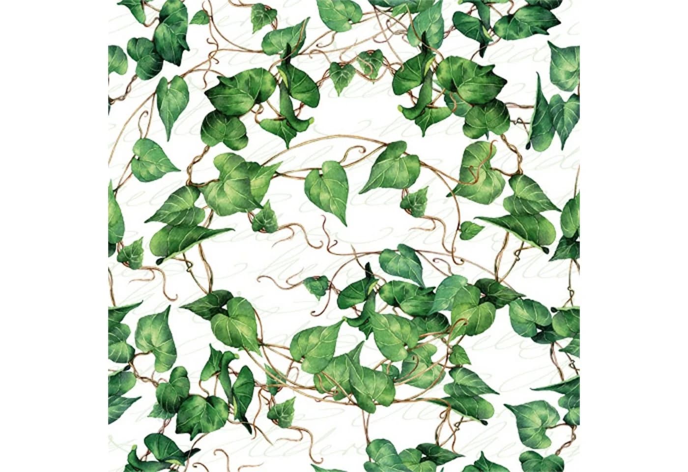 ti-flair Papierserviette 3-lagig Efeublätter Motiv 33x33cm Weiß/Grün 20 Stück