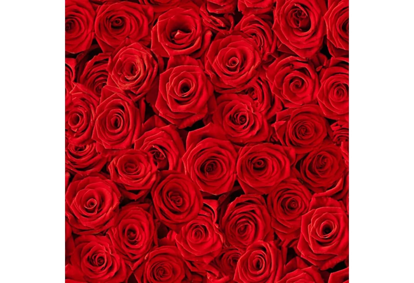 ti-flair Papierserviette 3-lagig Rosen Motiv 33x33cm Rot 20 Stück