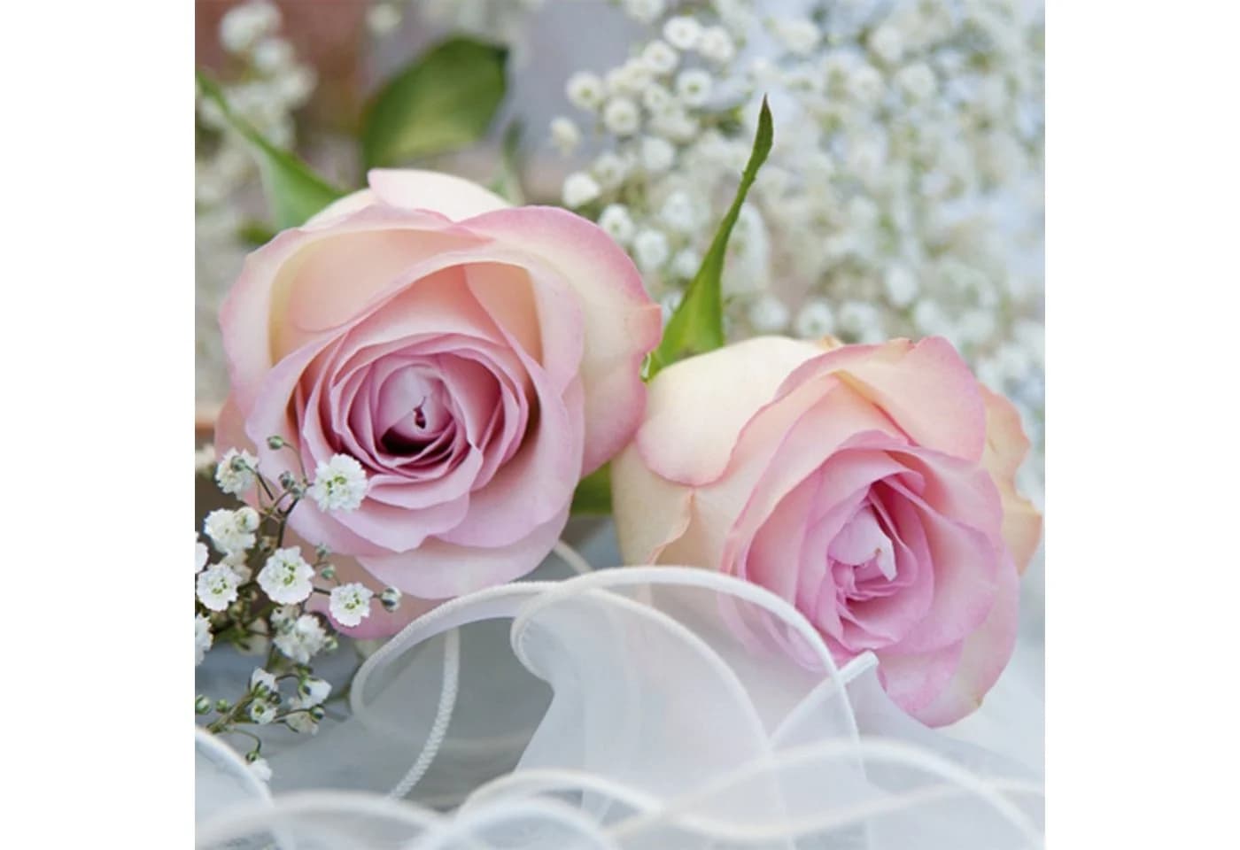 ti-flair Papierserviette 3-lagig Rosa/Weiß Rosenmotiv 33x33cm