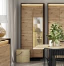 Compleo Vitrine LIMA 2-türig Loft Stil Schwarz Eiche Glasregal LED Bild 1