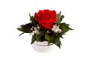 ROSEMARIE SCHULZ Heidelberg Infinity Rosenbox mit konservierter Rose Rot Bild 1