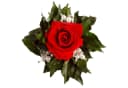 ROSEMARIE SCHULZ Heidelberg Infinity Rosenbox mit konservierter Rose Rot Bild 4