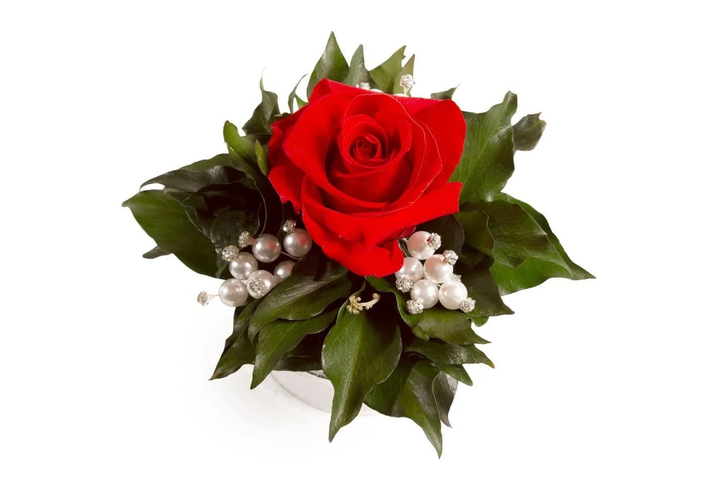ROSEMARIE SCHULZ Heidelberg Infinity Rosenbox mit konservierter Rose Rot - Bild 5