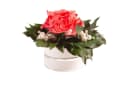 Infinity Rosenbox Diamonds and Pearls 1 Infinity Rose Rose, ROSEMARIE SCHULZ Heidelberg Bild 1