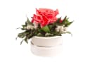 Infinity Rosenbox Diamonds and Pearls 1 Infinity Rose Rose, ROSEMARIE SCHULZ Heidelberg Bild 2