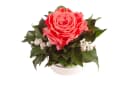 Infinity Rosenbox Diamonds and Pearls 1 Infinity Rose Rose, ROSEMARIE SCHULZ Heidelberg Bild 4