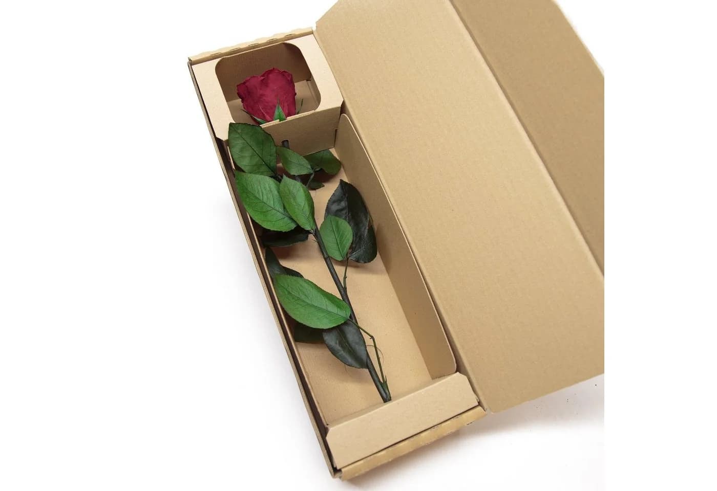 Infinity Rose Konservierte Rose 30 cm Rot - Bild 4