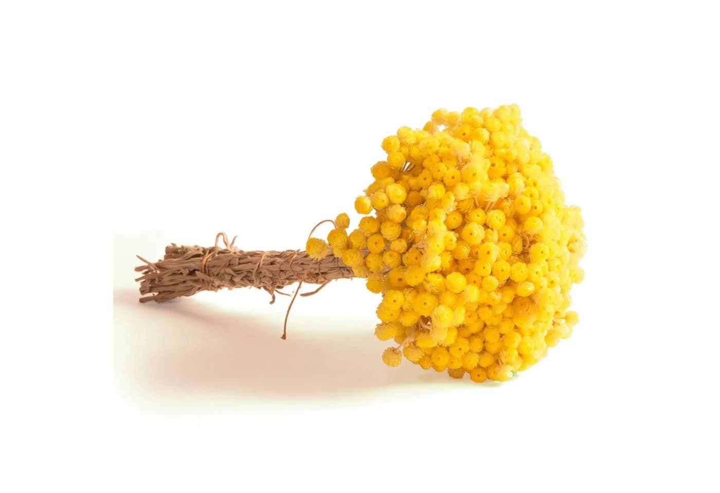 Trockenblume Immortelle Gelb Trockenblumenstrauß 30 cm - Bild 2