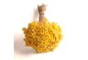 Trockenblume Immortelle Gelb Trockenblumenstrauß 30 cm Bild 3